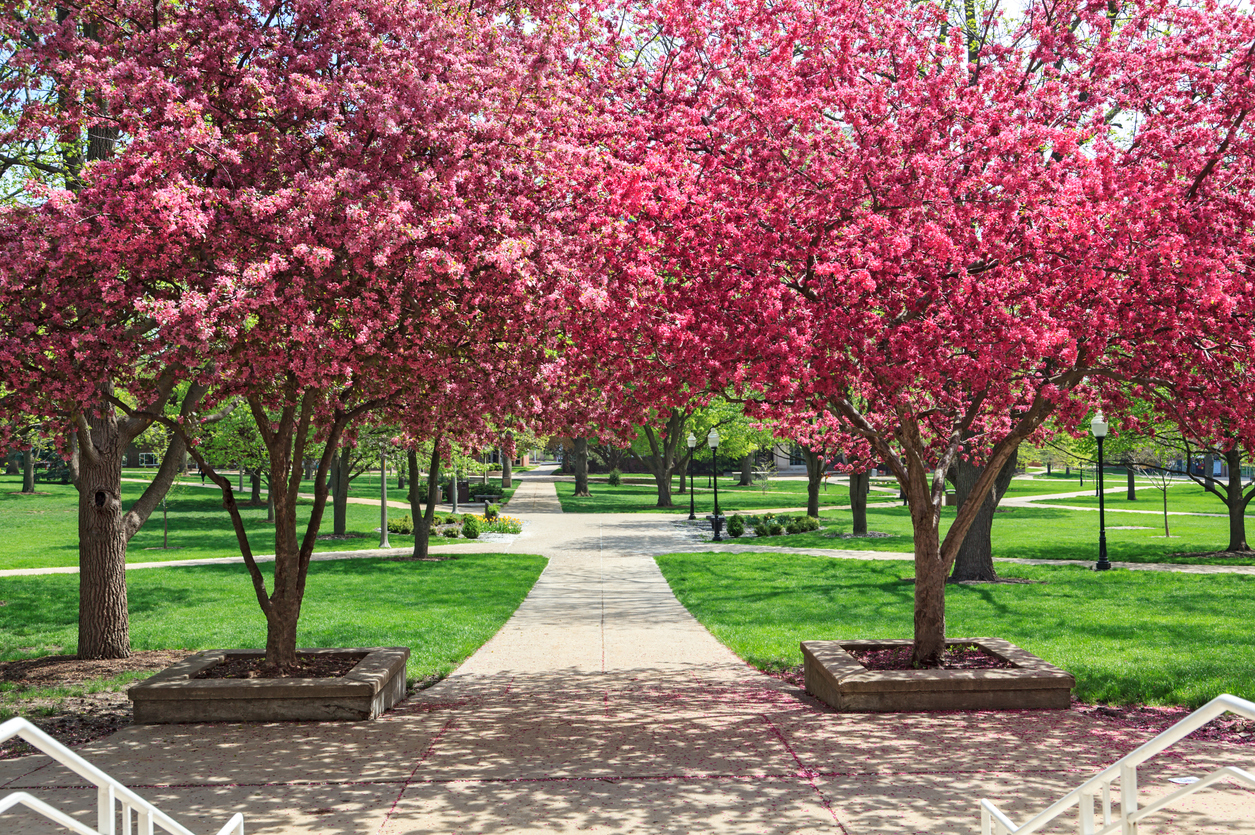 Panoramic Image of Bloomington, IL